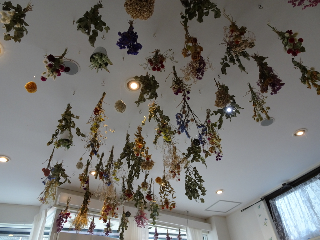 f:id:hiro-beans-attack-no1:20171203192224j:plain f:id:hiro-beans-attack-no1:20171203192224j:plain