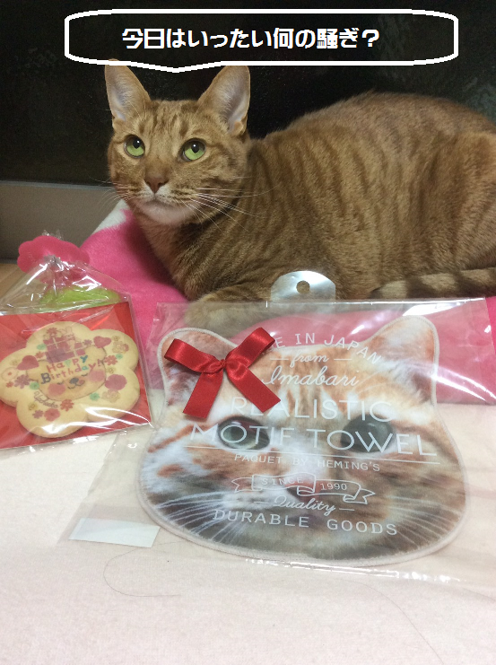 f:id:hiro-beans-attack-no1:20171224204754p:plain