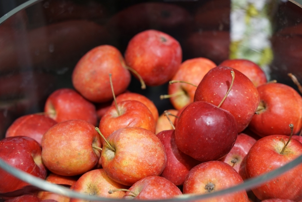 f:id:hiro-beans-attack-no1:20171225144301j:plain