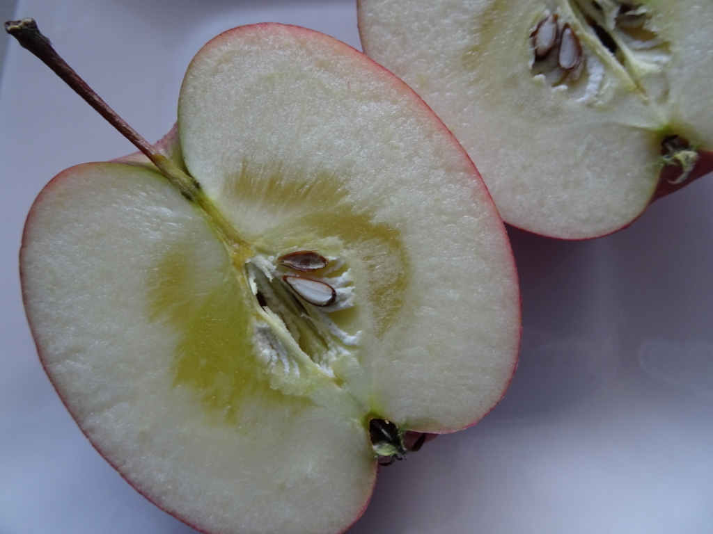 f:id:hiro-beans-attack-no1:20171225144752j:plain