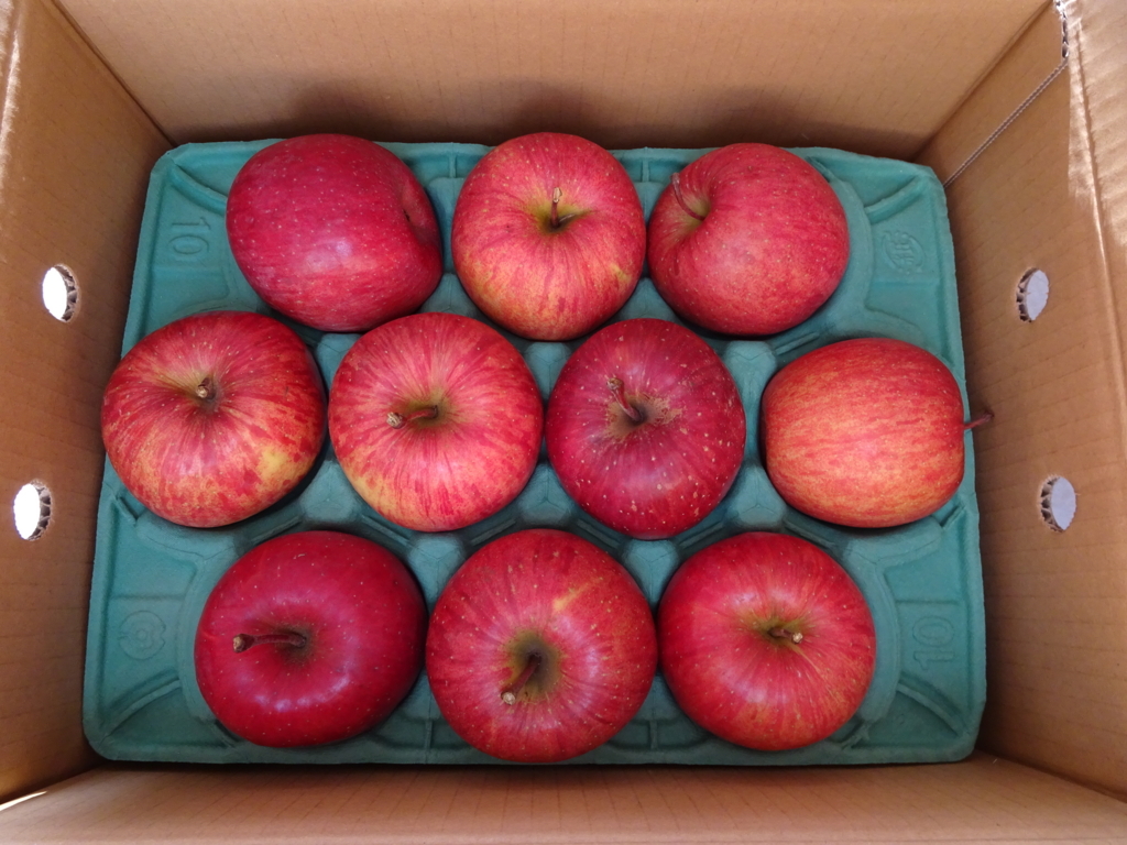 f:id:hiro-beans-attack-no1:20171225144858j:plain