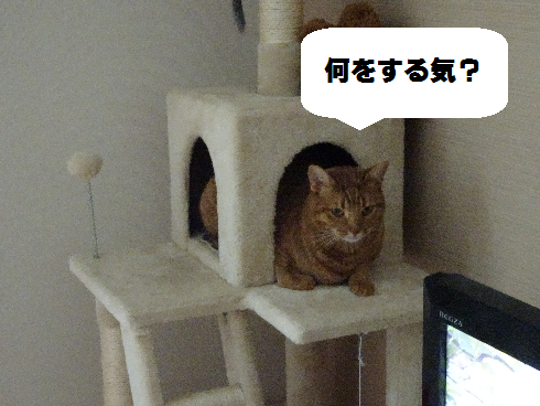 f:id:hiro-beans-attack-no1:20180103201341p:plain