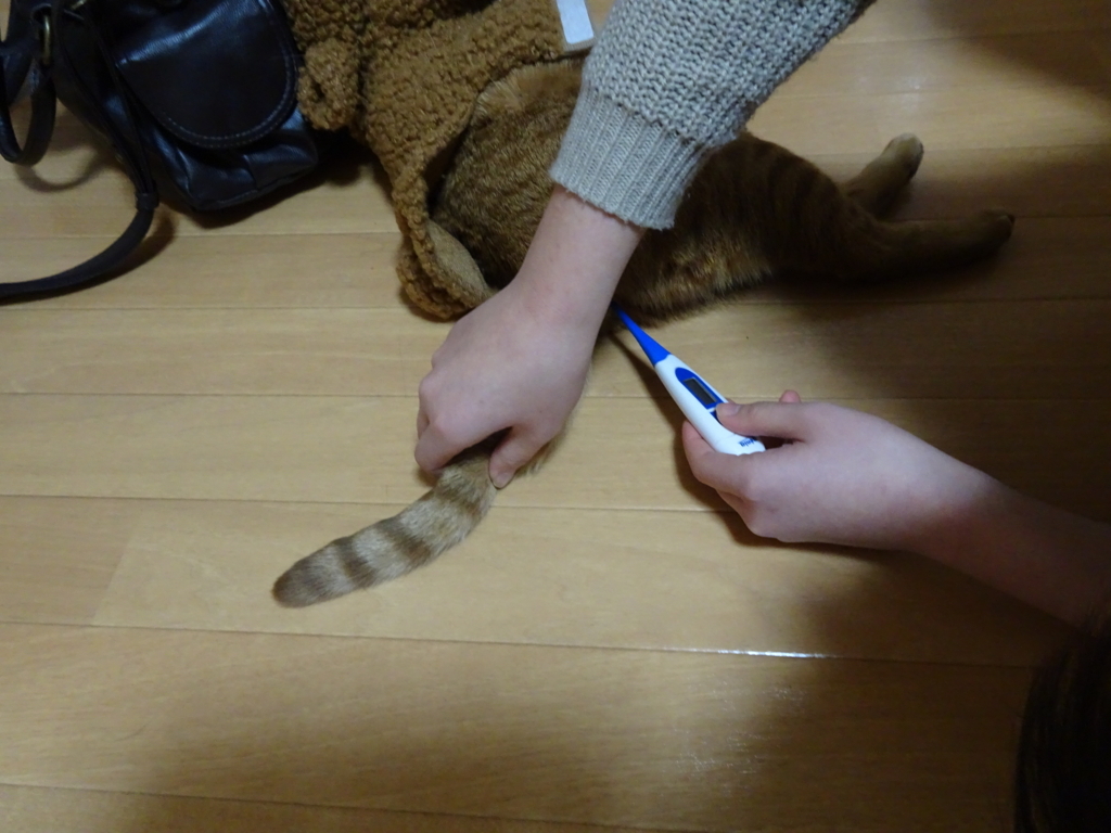 f:id:hiro-beans-attack-no1:20180103201616j:plain