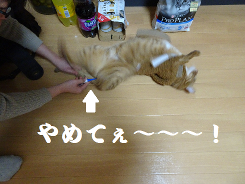 f:id:hiro-beans-attack-no1:20180103202706p:plain