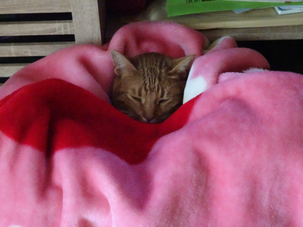 f:id:hiro-beans-attack-no1:20180103202833j:plain