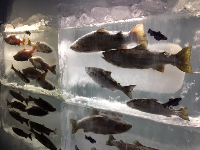 f:id:hiro-beans-attack-no1:20180211164420j:plain f:id:hiro-beans-attack-no1:20180211164420j:plain