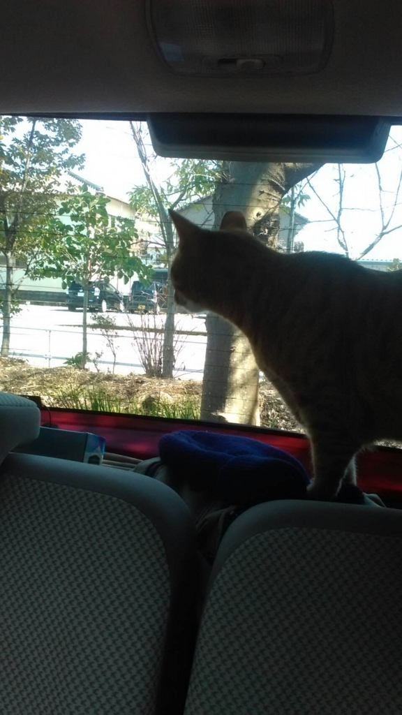 f:id:hiro-beans-attack-no1:20180301172732j:plain f:id:hiro-beans-attack-no1:20180301172732j:plain