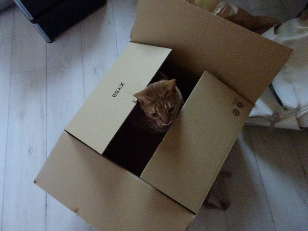 f:id:hiro-beans-attack-no1:20180306204502j:plain