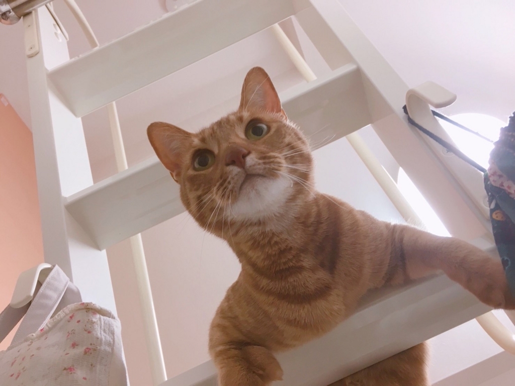 f:id:hiro-beans-attack-no1:20180309172711j:plain