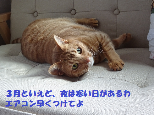 f:id:hiro-beans-attack-no1:20180311194859p:plain