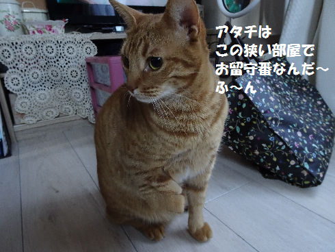 f:id:hiro-beans-attack-no1:20180320160659p:plain
