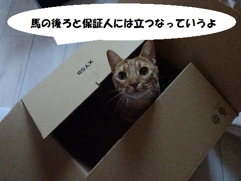 f:id:hiro-beans-attack-no1:20180321102152p:plain