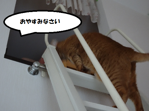 f:id:hiro-beans-attack-no1:20180326193401p:plain