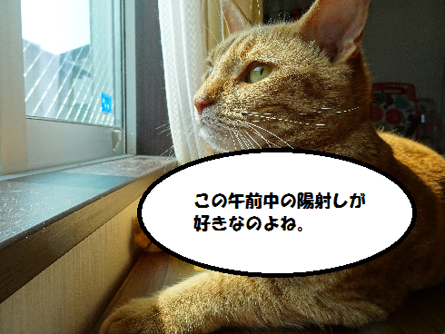 f:id:hiro-beans-attack-no1:20180328154254p:plain
