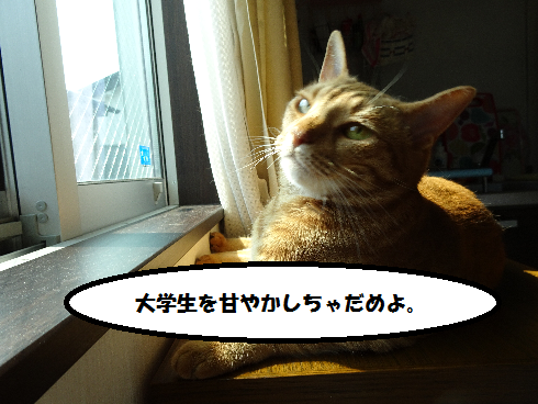 f:id:hiro-beans-attack-no1:20180328155331p:plain