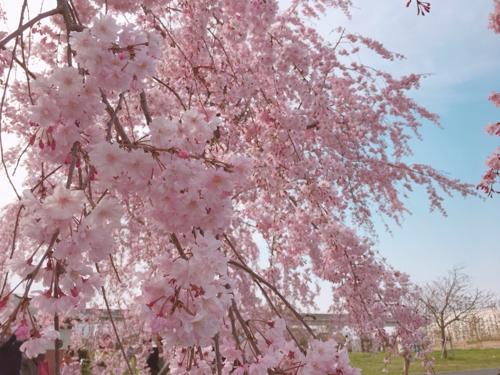 f:id:hiro-beans-attack-no1:20180401202649j:plain