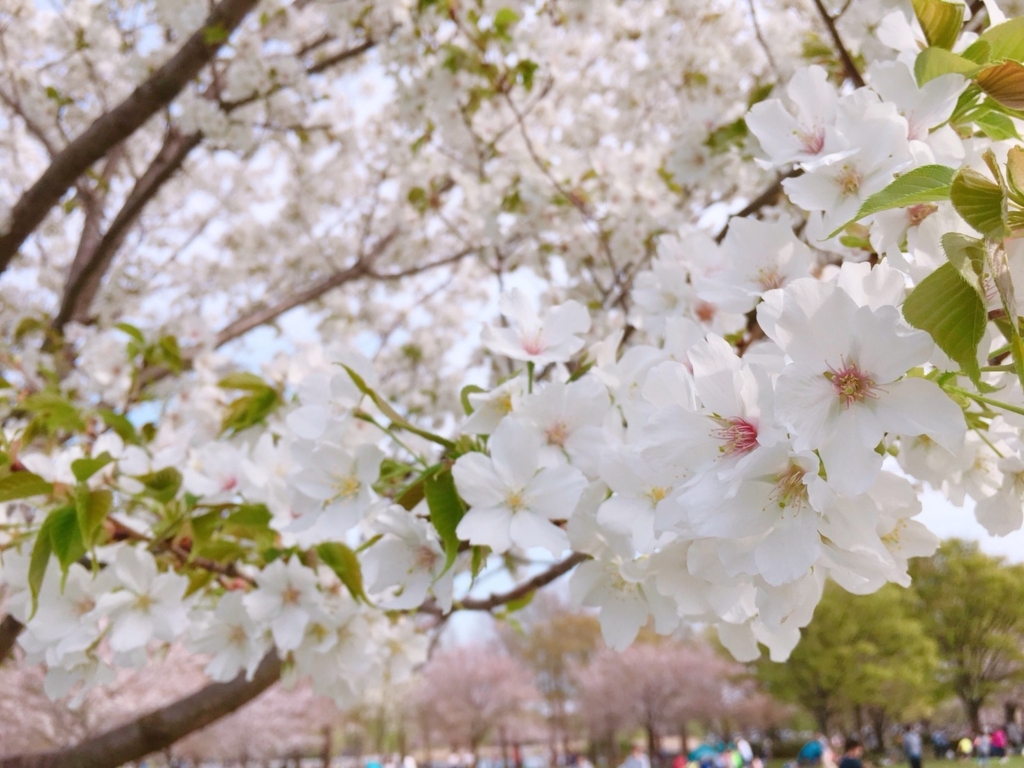 f:id:hiro-beans-attack-no1:20180401202727j:plain