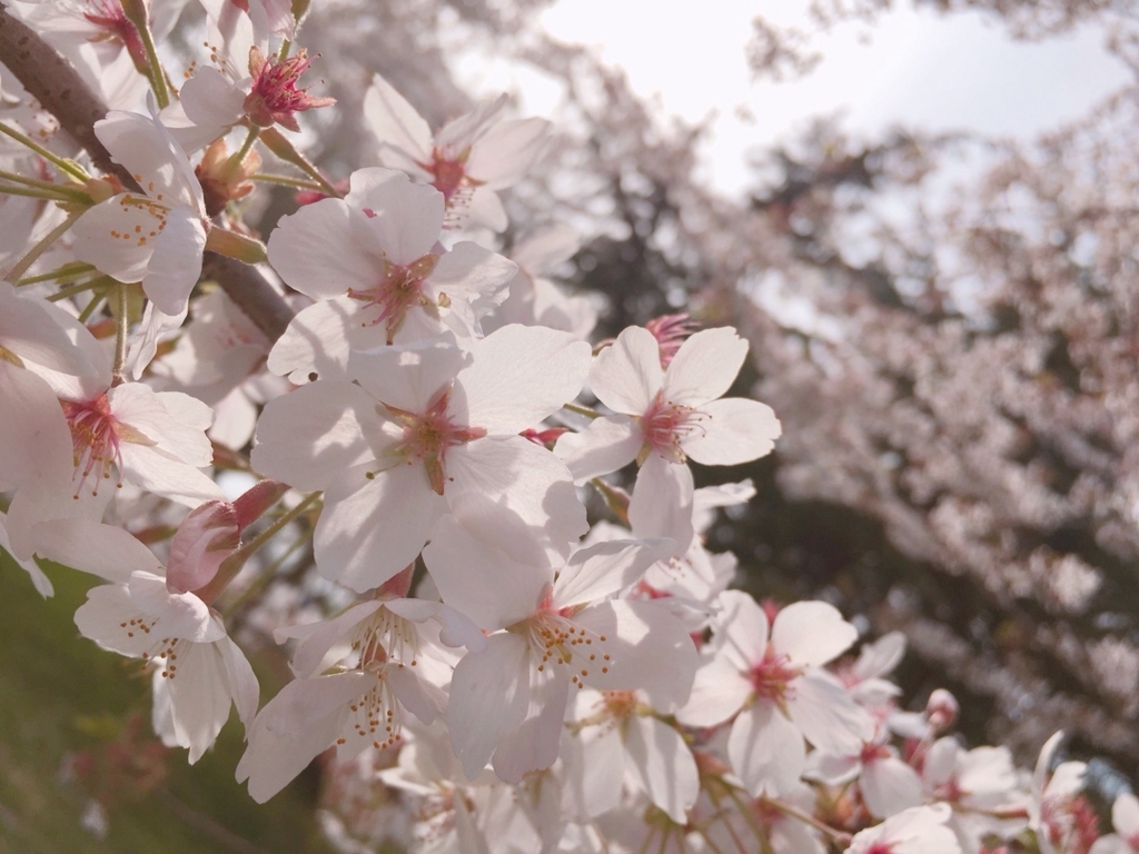f:id:hiro-beans-attack-no1:20180401202910j:plain