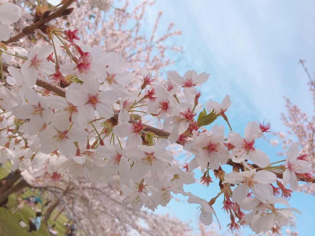 f:id:hiro-beans-attack-no1:20180401203243j:plain