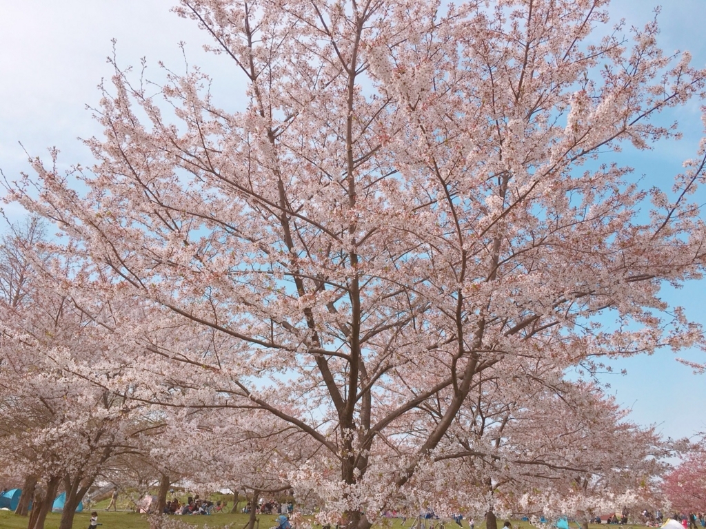 f:id:hiro-beans-attack-no1:20180401203332j:plain