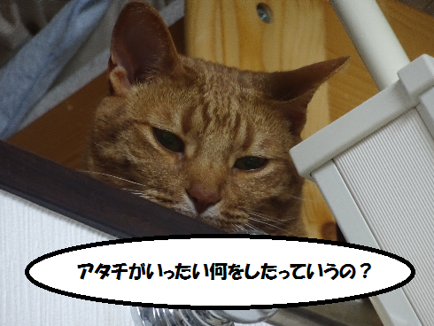 f:id:hiro-beans-attack-no1:20180413134359p:plain
