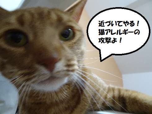 f:id:hiro-beans-attack-no1:20180413135143p:plain