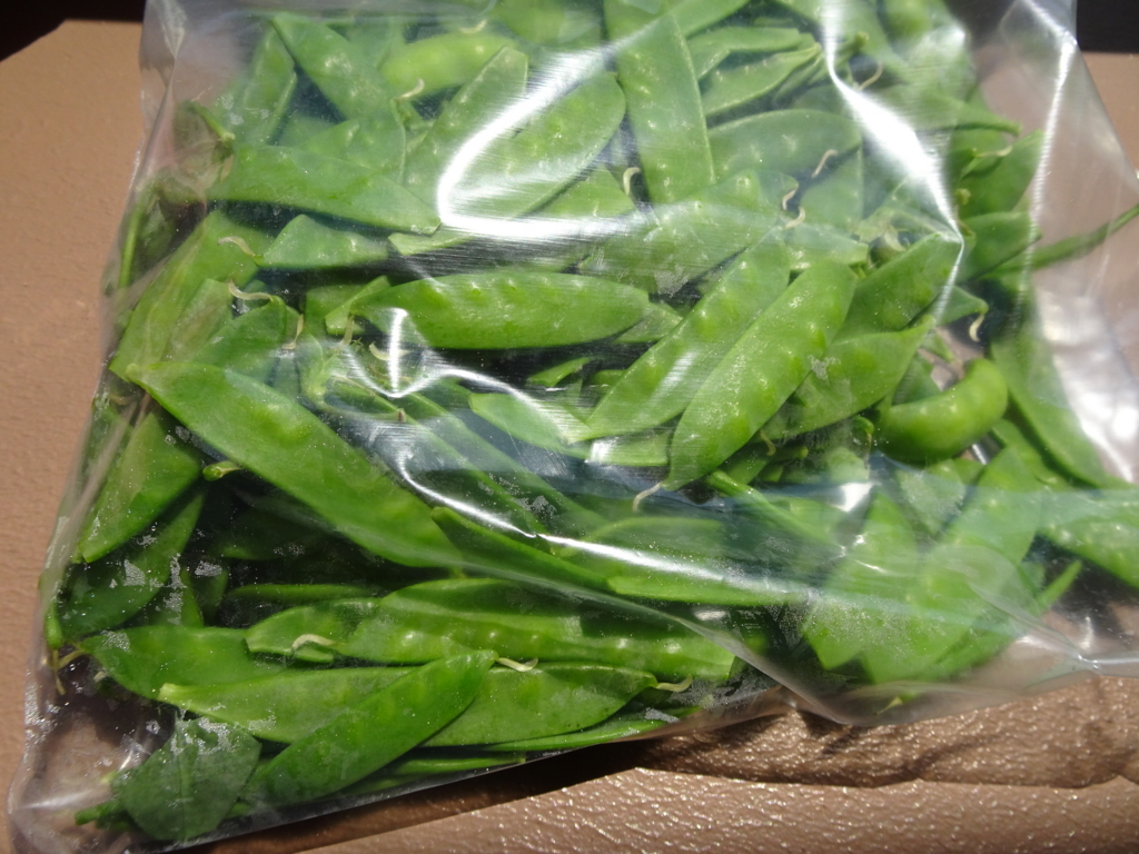 f:id:hiro-beans-attack-no1:20180421195032j:plain
