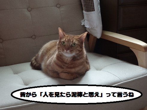 f:id:hiro-beans-attack-no1:20180510200431p:plain