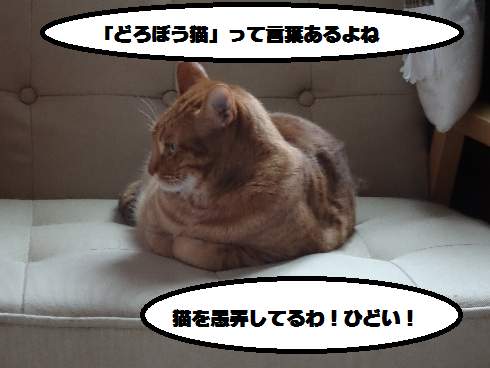 f:id:hiro-beans-attack-no1:20180510200557p:plain