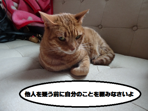 f:id:hiro-beans-attack-no1:20180510201219p:plain