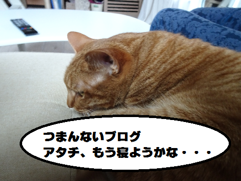 f:id:hiro-beans-attack-no1:20180510202048p:plain