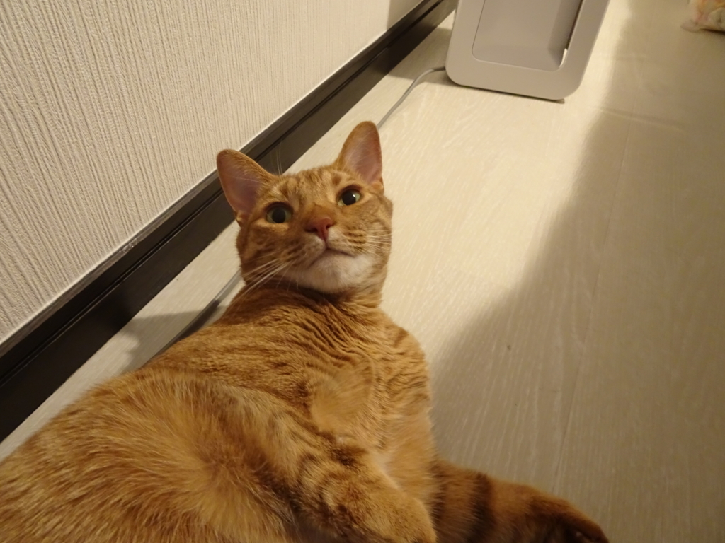 f:id:hiro-beans-attack-no1:20180619214229j:plain