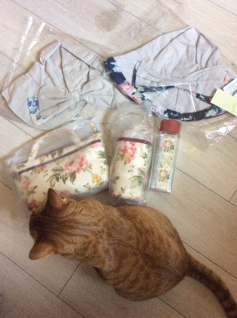 f:id:hiro-beans-attack-no1:20180710200334j:plain