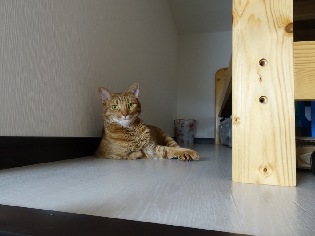f:id:hiro-beans-attack-no1:20180726153328j:plain