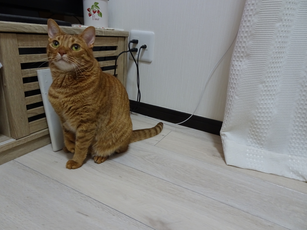 f:id:hiro-beans-attack-no1:20180727164210j:plain