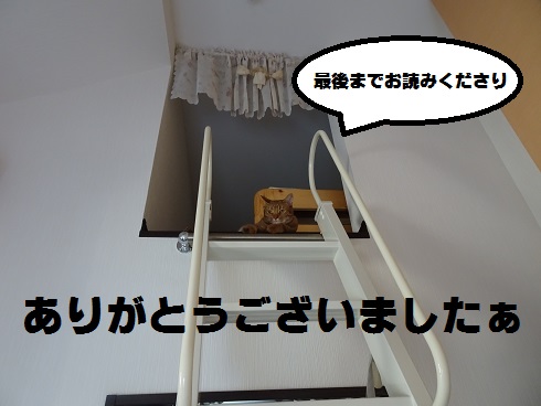 f:id:hiro-beans-attack-no1:20180809161556j:plain