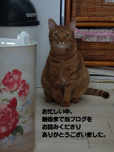 f:id:hiro-beans-attack-no1:20180813180135j:plain