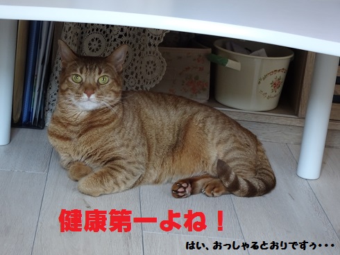 f:id:hiro-beans-attack-no1:20180827220404j:plain