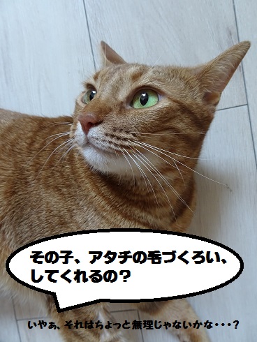 f:id:hiro-beans-attack-no1:20180828185828j:plain