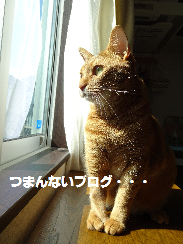 f:id:hiro-beans-attack-no1:20180911190653p:plain