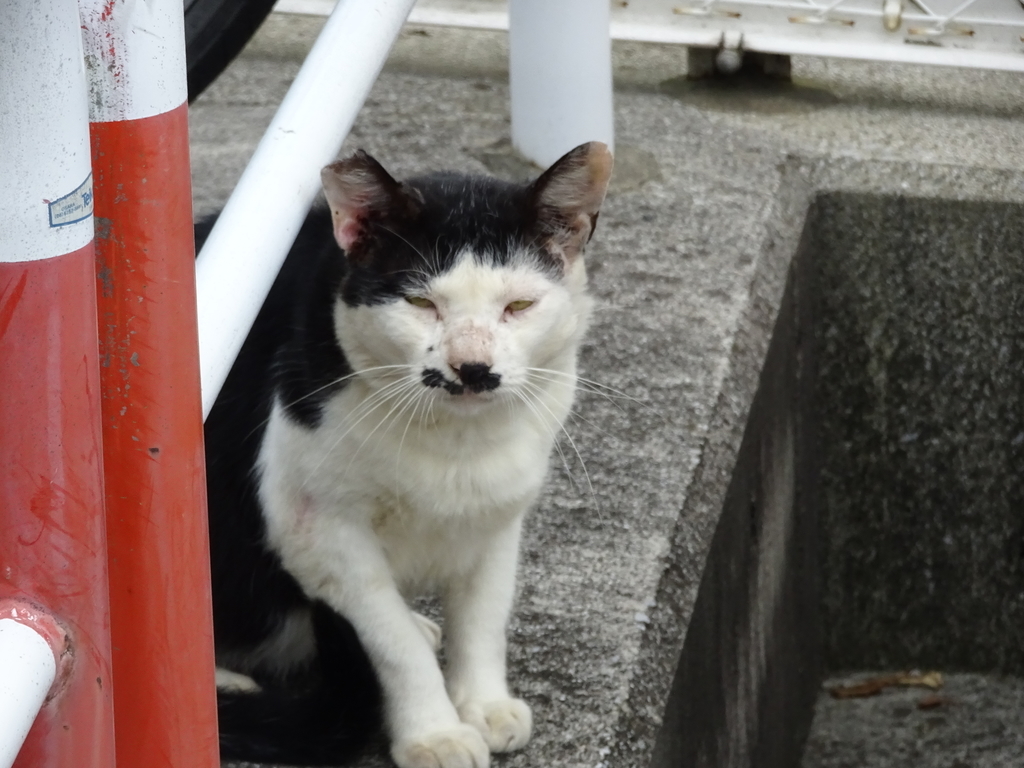 f:id:hiro-beans-attack-no1:20180911191314j:plain