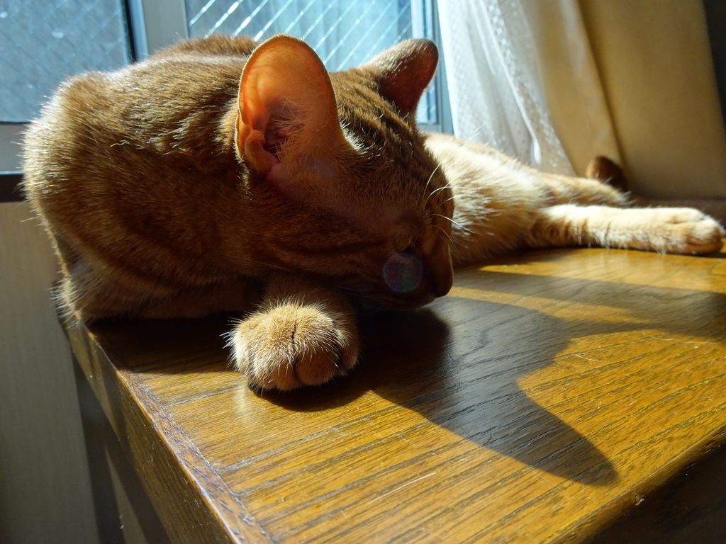 f:id:hiro-beans-attack-no1:20180911192149j:plain