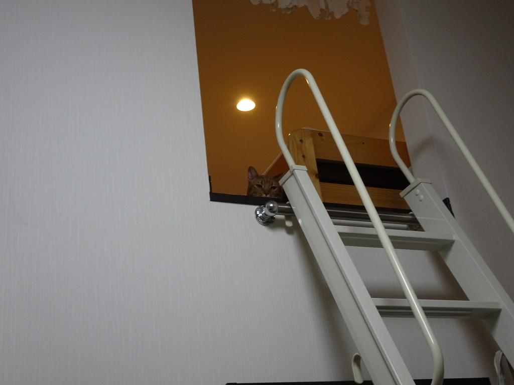 f:id:hiro-beans-attack-no1:20181006200234j:plain f:id:hiro-beans-attack-no1:20181006200234j:plain