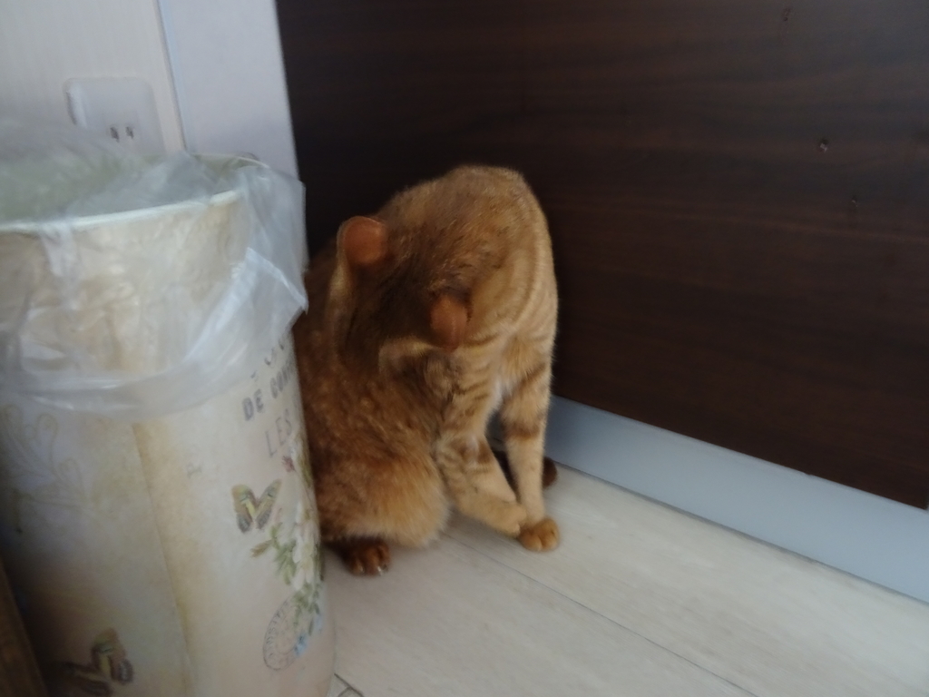 f:id:hiro-beans-attack-no1:20181110192718j:plain