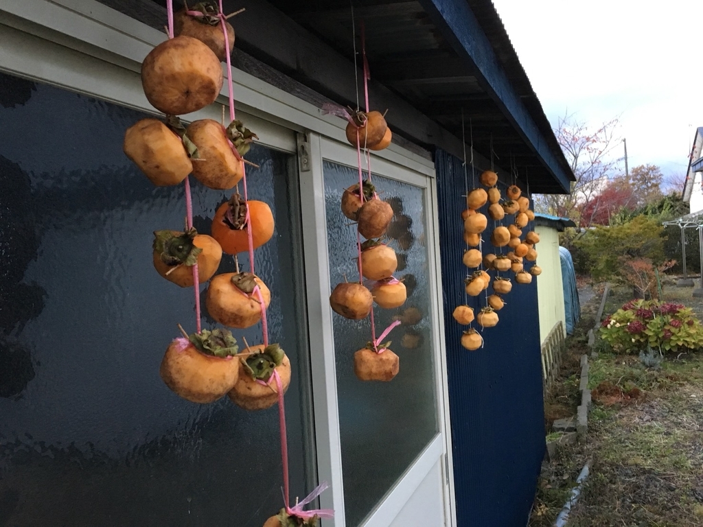 f:id:hiro-beans-attack-no1:20181117220323j:plain