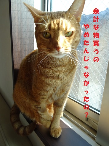 f:id:hiro-beans-attack-no1:20181118211114j:plain