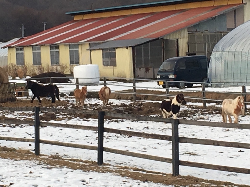 f:id:hiro-beans-attack-no1:20190108195845j:plain