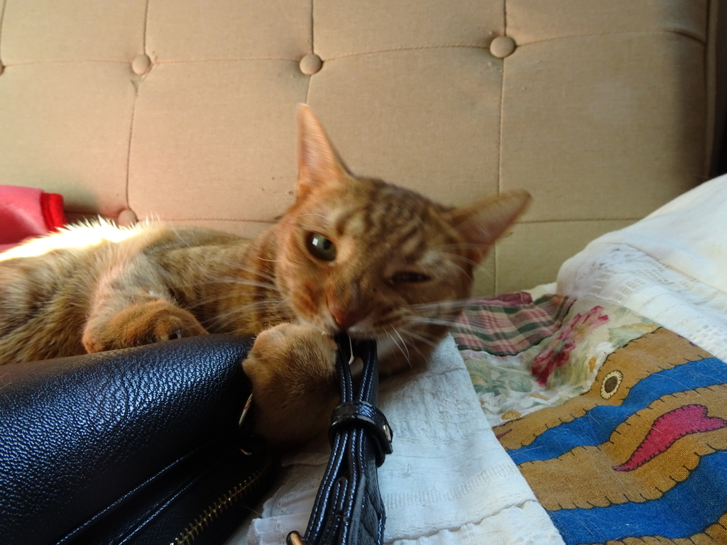 f:id:hiro-beans-attack-no1:20190108201754j:plain