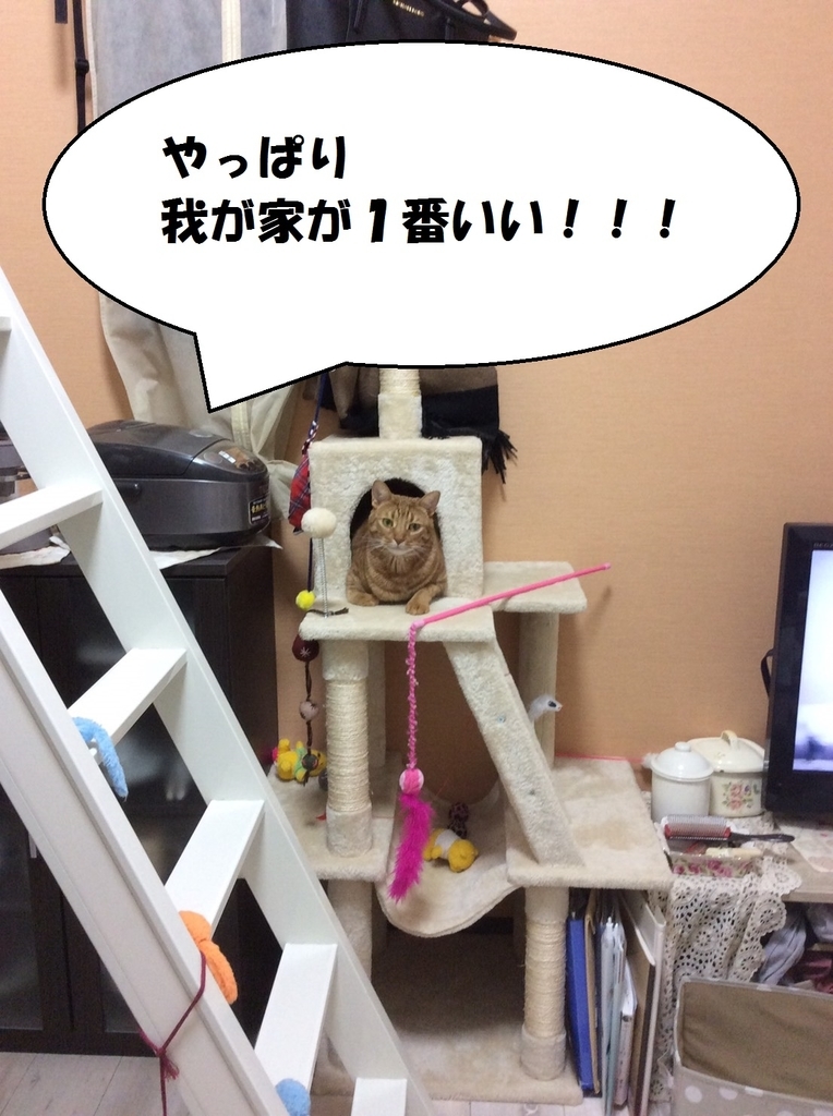 f:id:hiro-beans-attack-no1:20190122195123j:plain