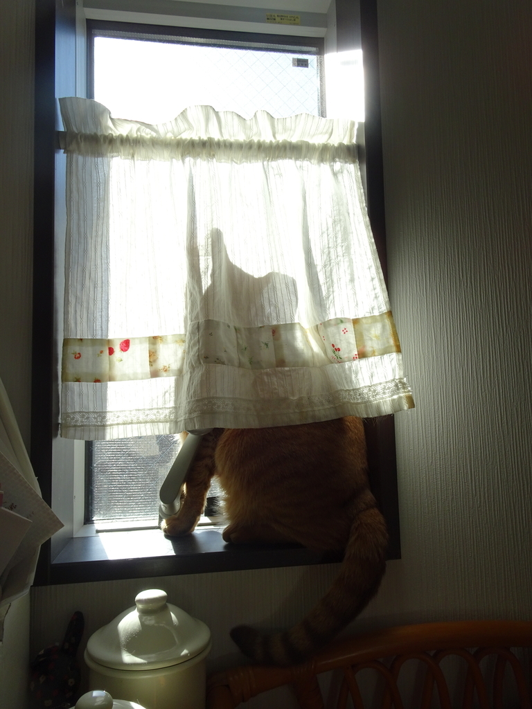 f:id:hiro-beans-attack-no1:20190204221048j:plain